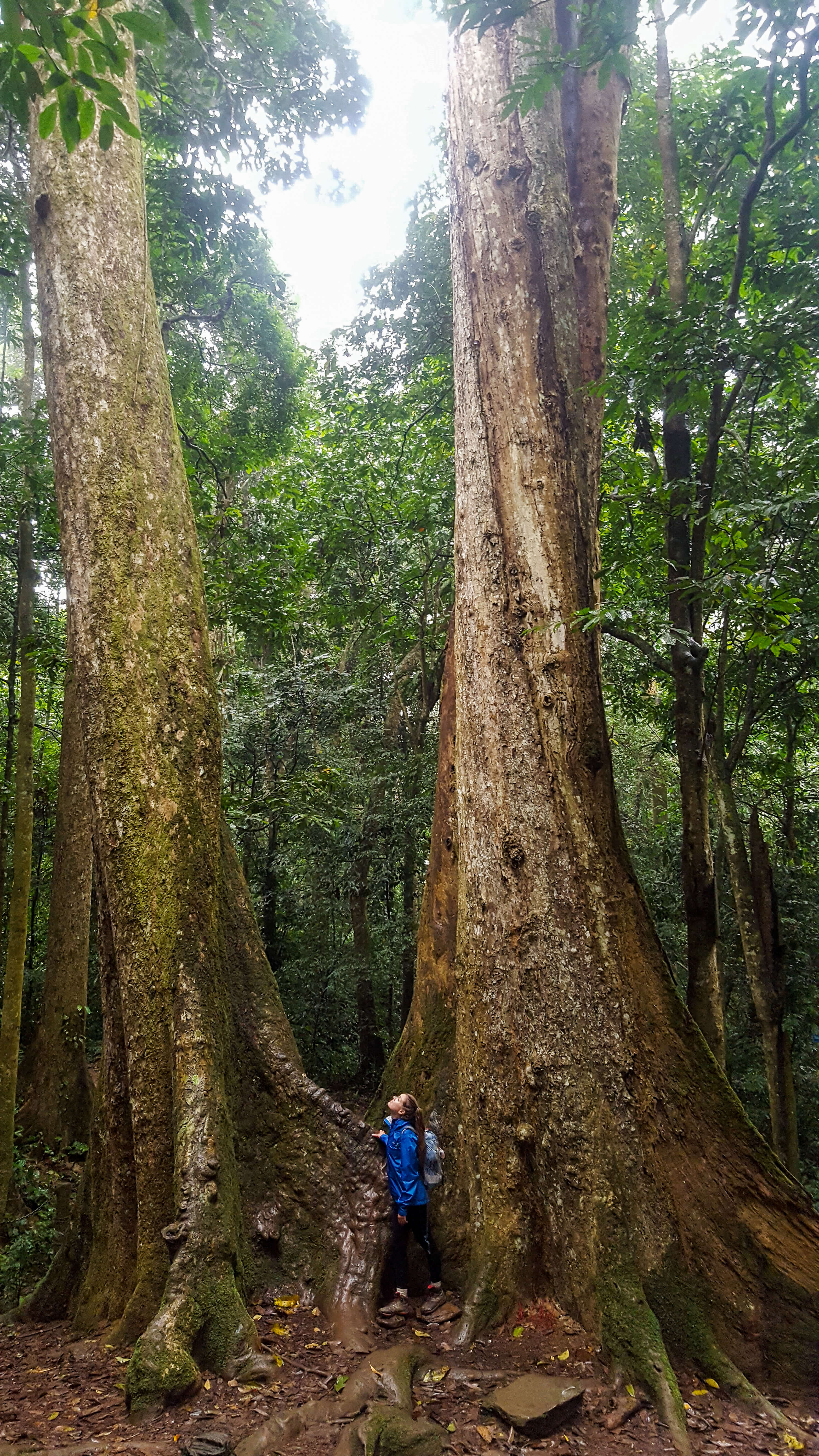 Cuc Phuong National Park 59 - Travanie Travels